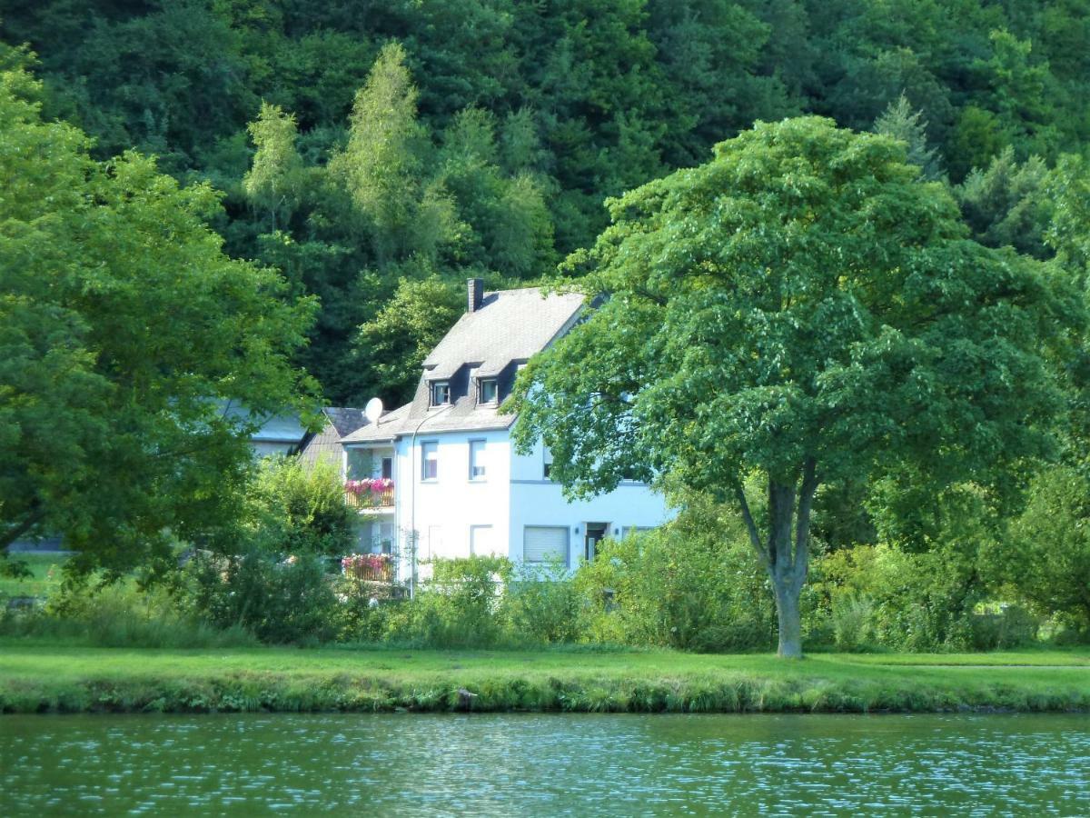 Haus Moselwiese アルフ エクステリア 写真